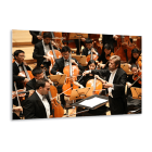 Canaletto Elastic