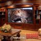 Access Series E 4:3 16:9 16:10 Show