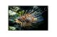 Superwall 305 x 191cm 16/10