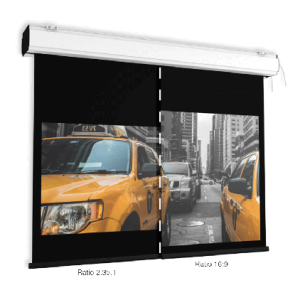 Double Format: Display