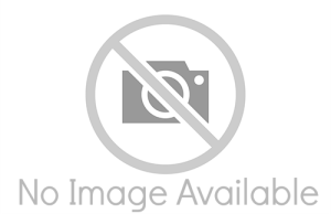 Wall Switch & RF Transmitter