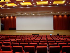 Cine Pro 800cm Microholes Display