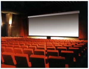 Cine Pro 1200cm Microholes Show