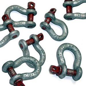 Tested Bow Shackle  |  1/2