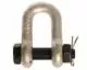 Dee Shackles Blue Pin Standard with Safety Nut & Bolt Pin